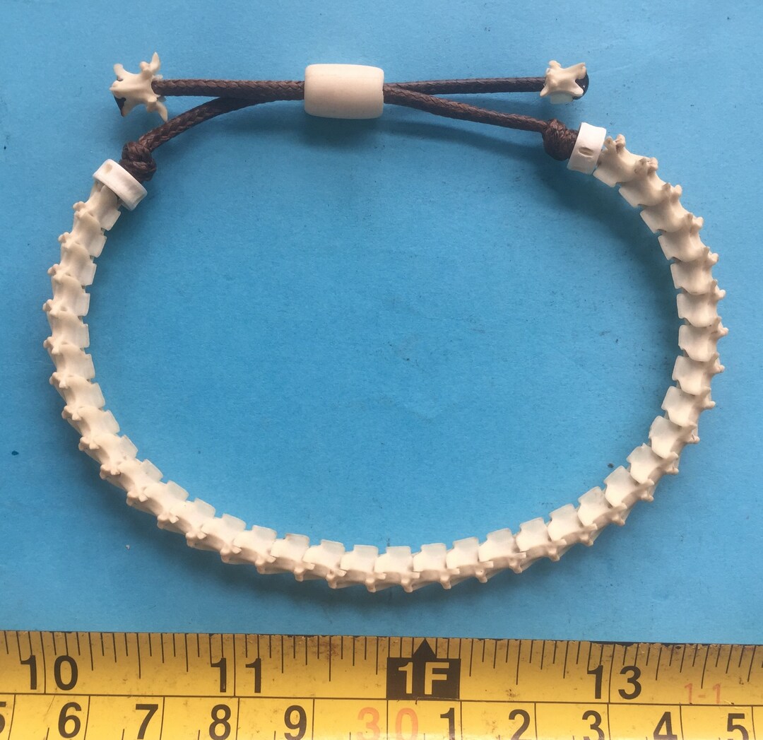 Snake Bones Vertebrae Bracelet Philippine Kalinga Handmade Rare Etsy