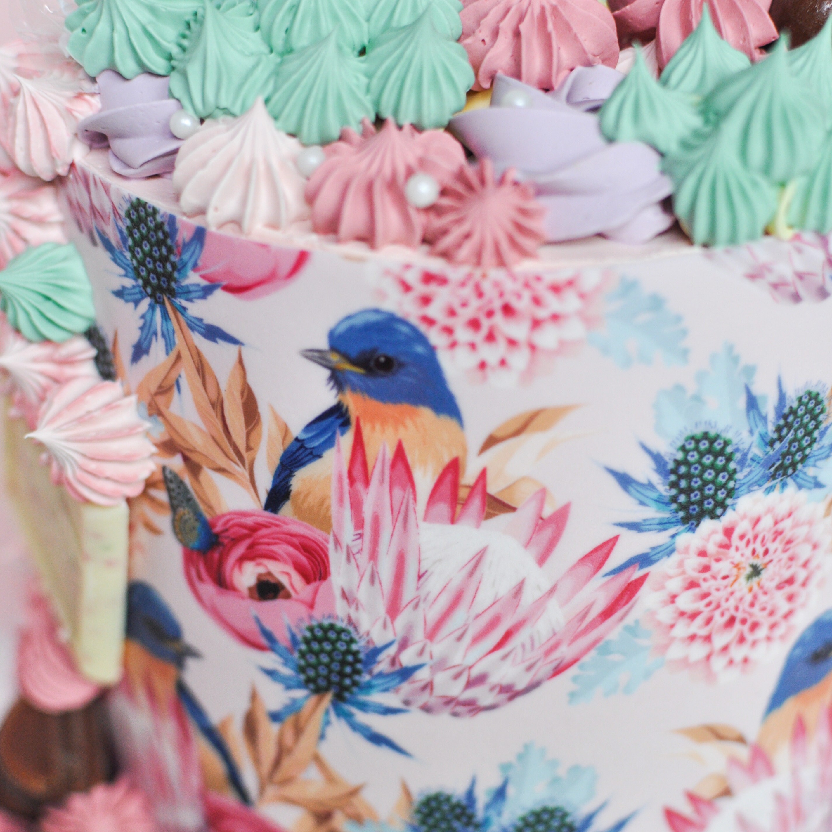 Edible Frosting Sheets Edible Illustrations for Cake - Etsy
