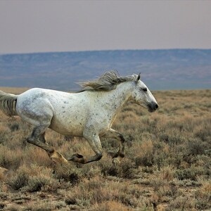 現在、この商品の在庫はありません - Etsy