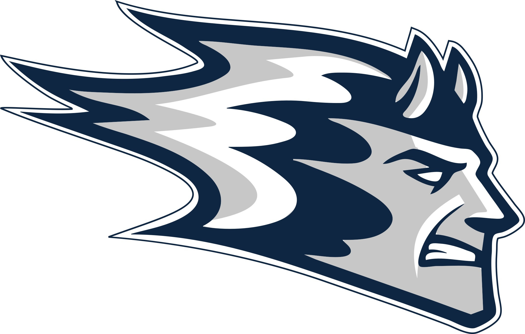 University Wisconsin Blue Devils PNG SVG JPEG for Shirts Stickers - Etsy