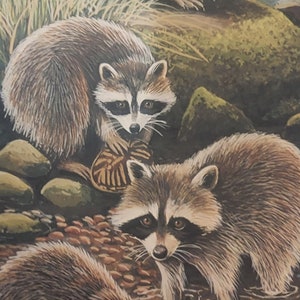 May include: A painting of four raccoons in a forest setting. The raccoons are brown and gray with black masks around their eyes. They are standing in a stream of water and on rocks. The background is a lush green forest with trees and plants.