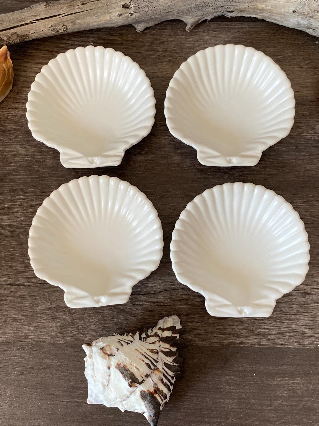Vintage Wedgwood Nautilus Shell Appetizer/bonbon/amuse-bouche Dishes ...