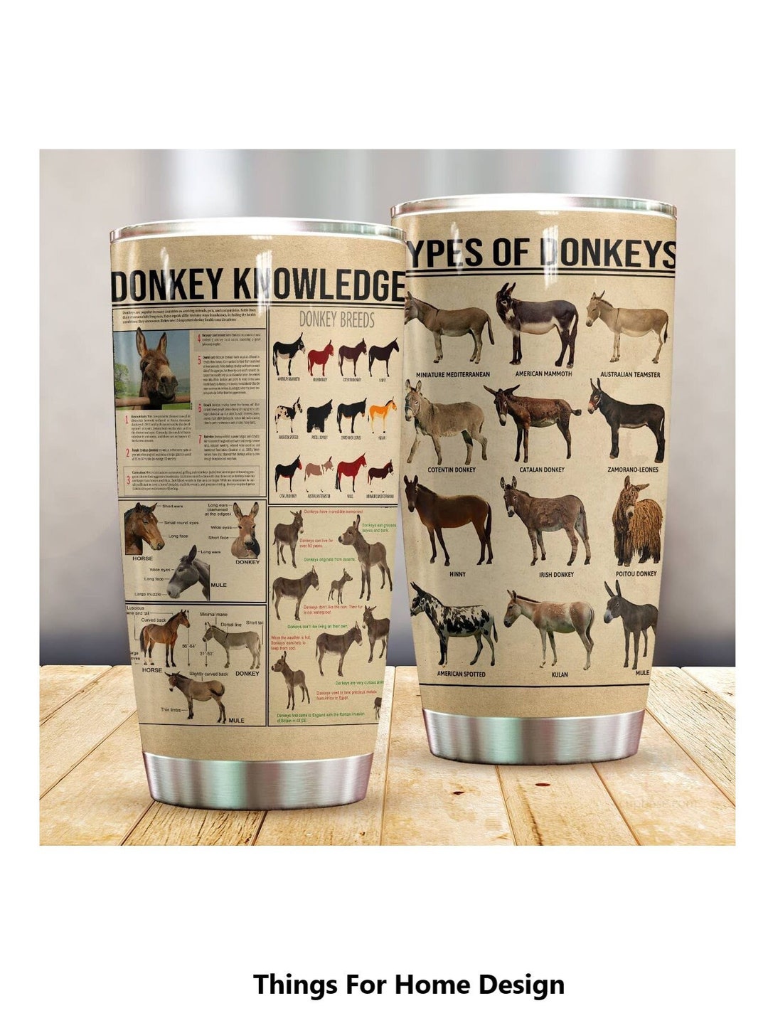 Targa In Metallo Retrò 20x30 Cm Con Scritta "Donkey Knowledge" - Decorazione Da Parete Ironica Per Garage, Bar, Ufficio E Casa