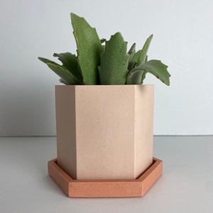 Hexagon Planter Pot with Drainage Hole | Housewarming Gift | Host Gift | Indoor Planter | Eco-Resin