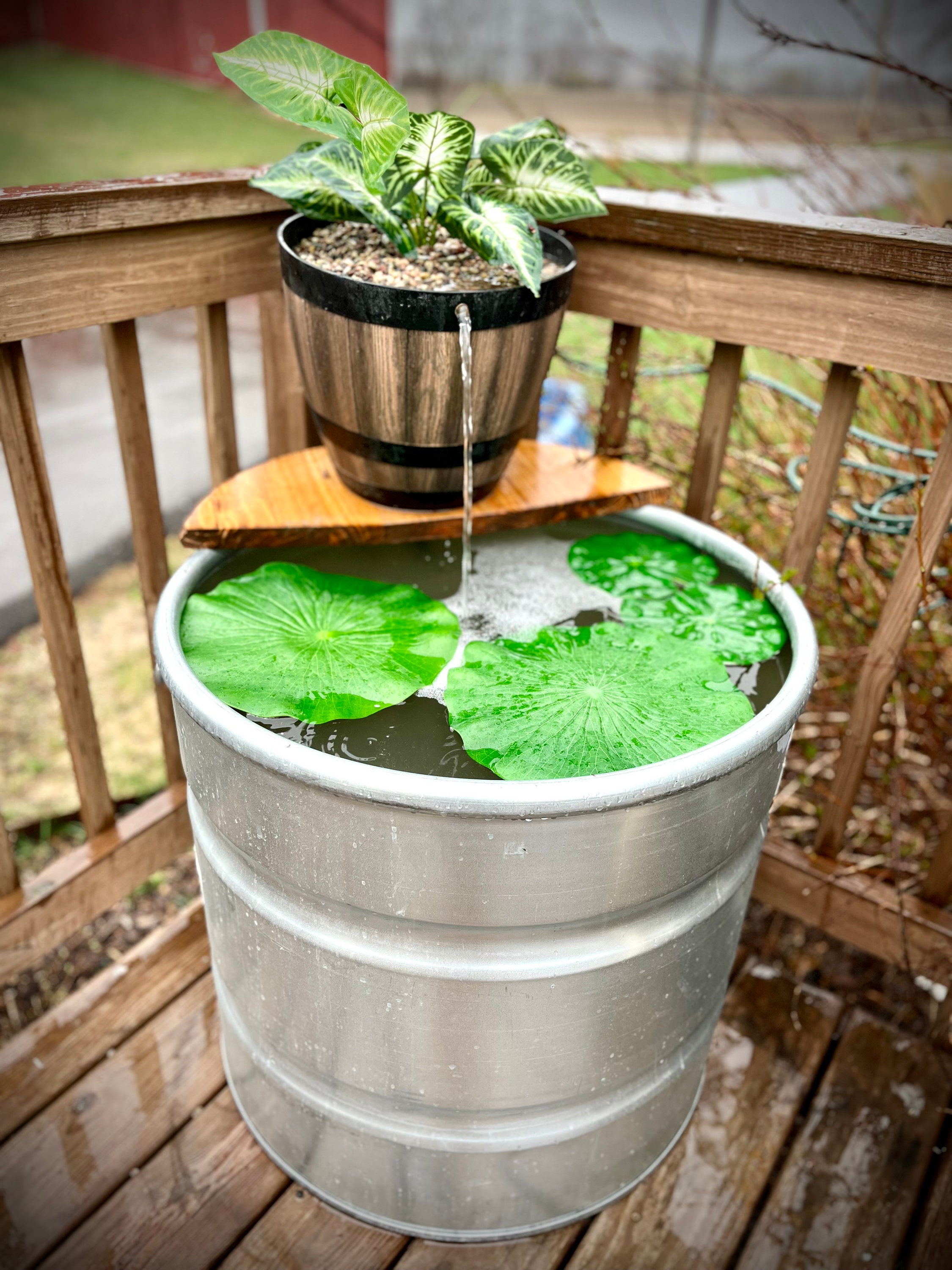 Galvanized Stock Tank Barrel Patio Goldfish Pond W/ Resin Etsy