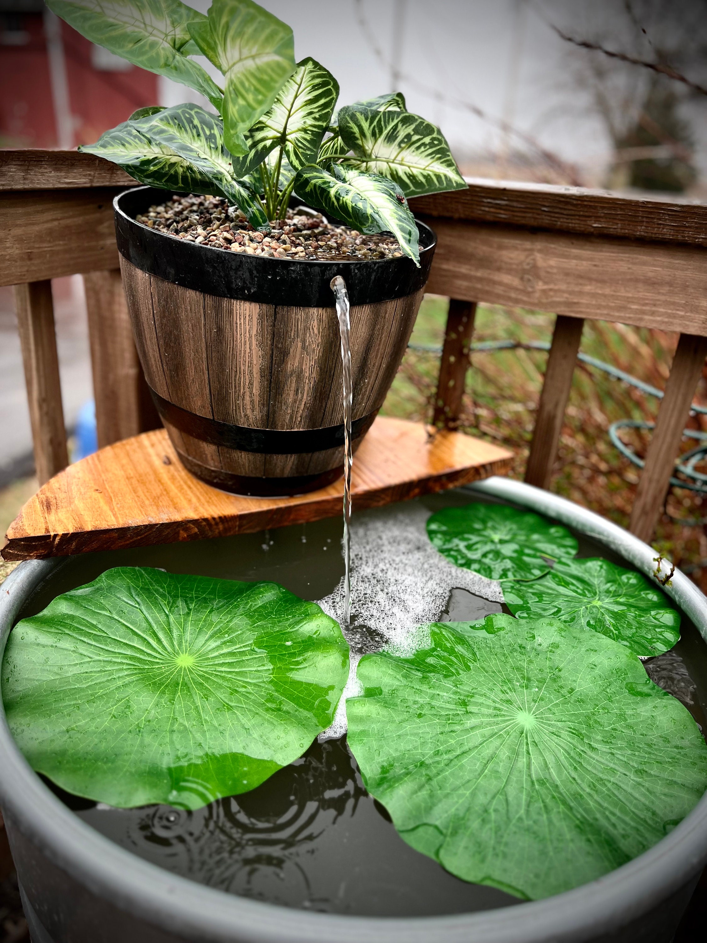 Galvanized Stock Tank Barrel Patio Goldfish Pond W/ Resin Etsy