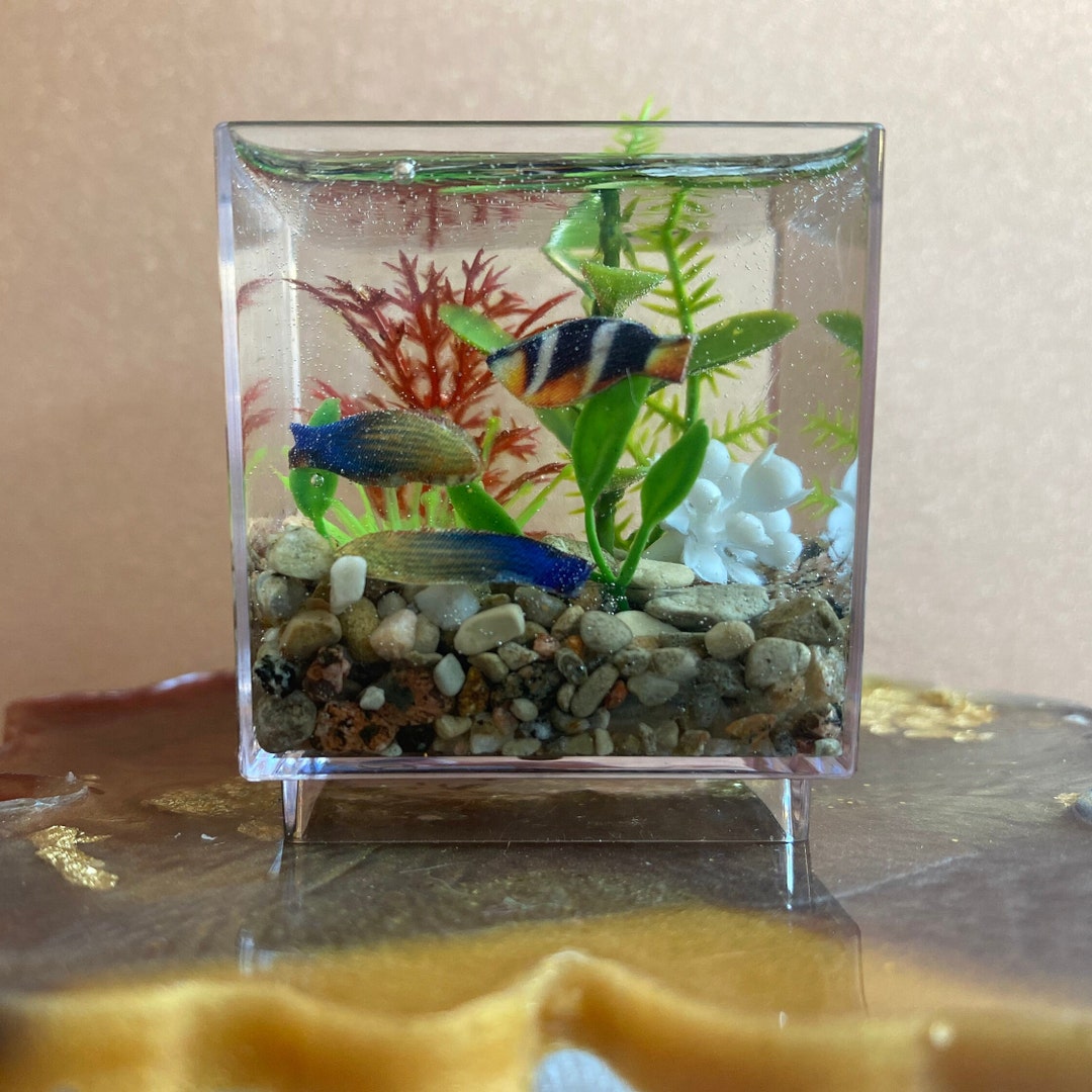 Miniature Aquarium/doll House Aquarium/dollhouse Fish Bowl/mini