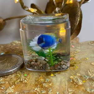 May include: A small, clear, plastic container with a blue and yellow fish, a white flower, and green plants. The container is filled with small, colorful rocks and sand.