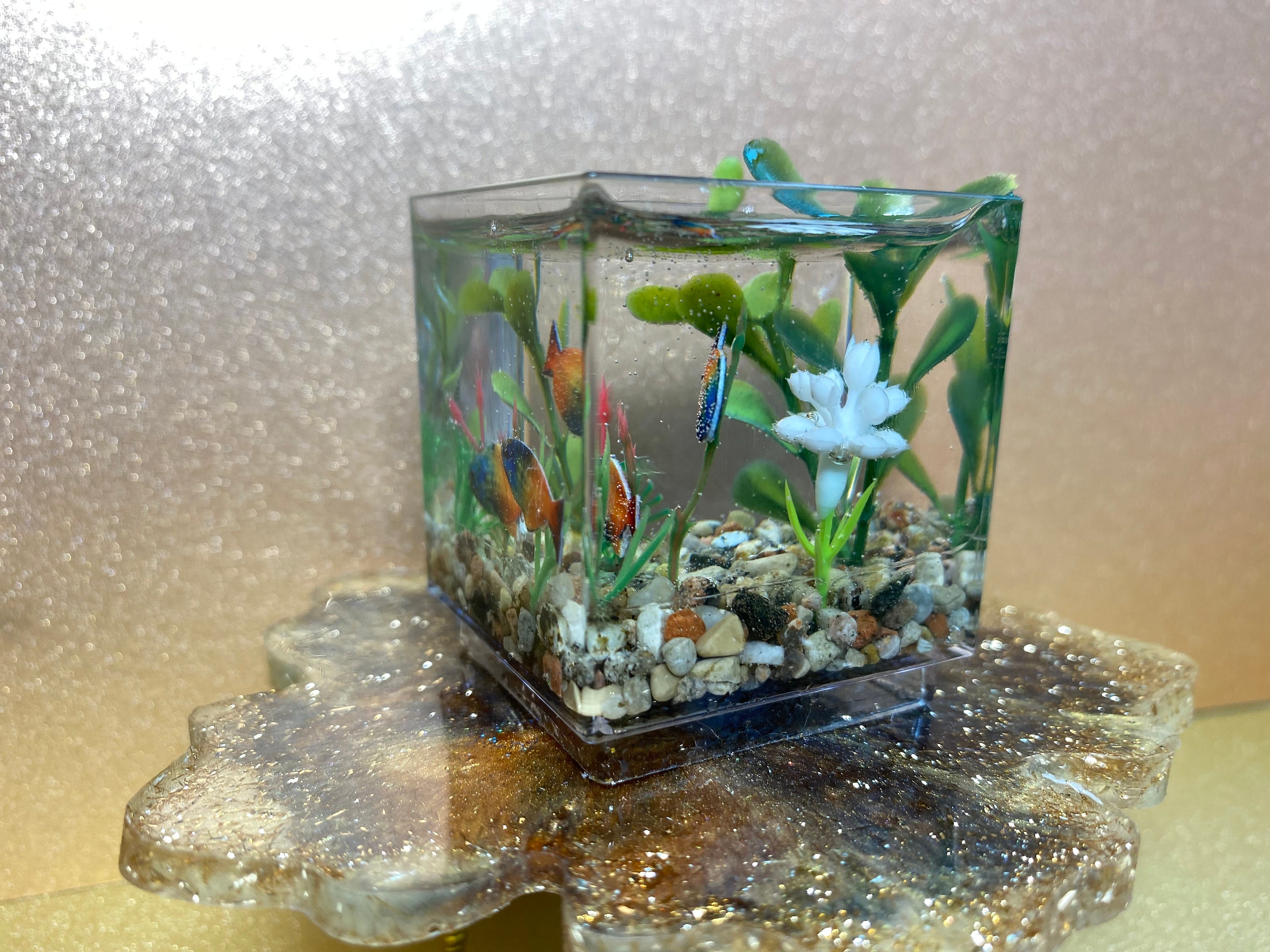 Miniature Aquarium/doll House Aquarium/dollhouse Fish Etsy