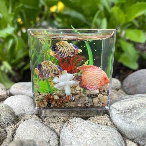 Dollhouse Fish Tank Etsy