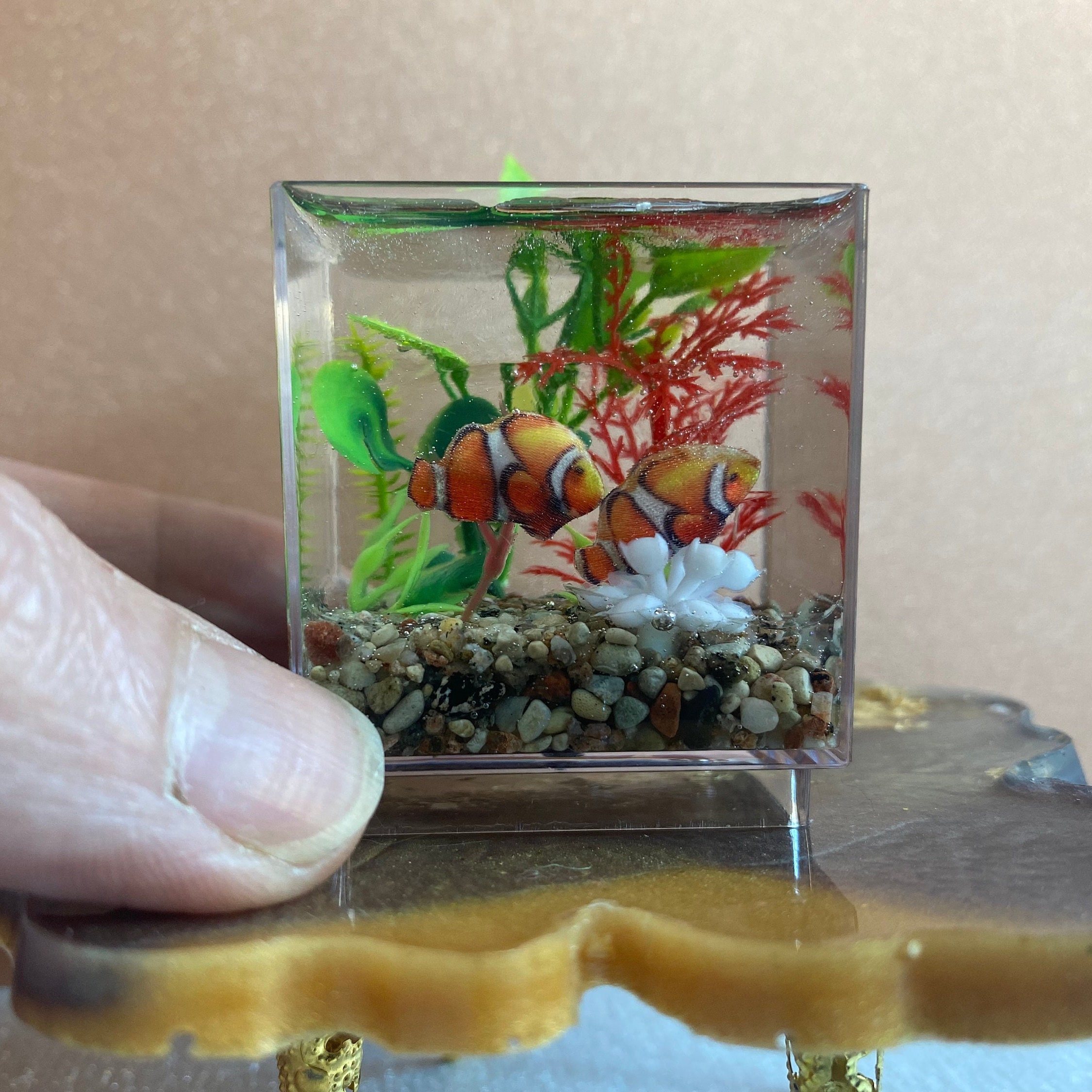 5 MINUTE CRAFTS DIY Mini-Verse Dollhouse Miniatures Butterflyfish Aquarium  Tutorial 