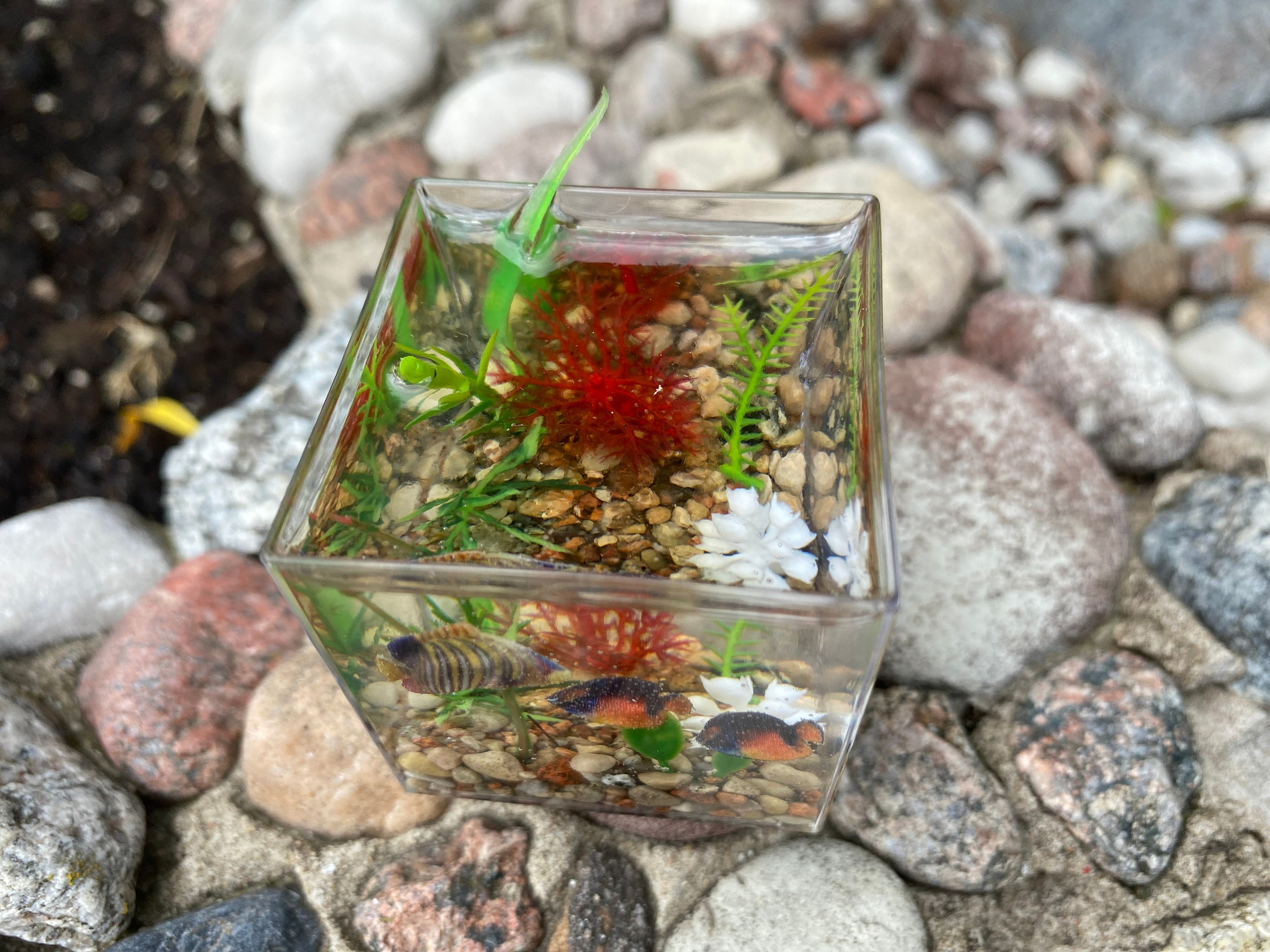 2 Pcs Micro-landscape Goldfish Tank Mini Aesthetic Decor Dollhouse Accessories