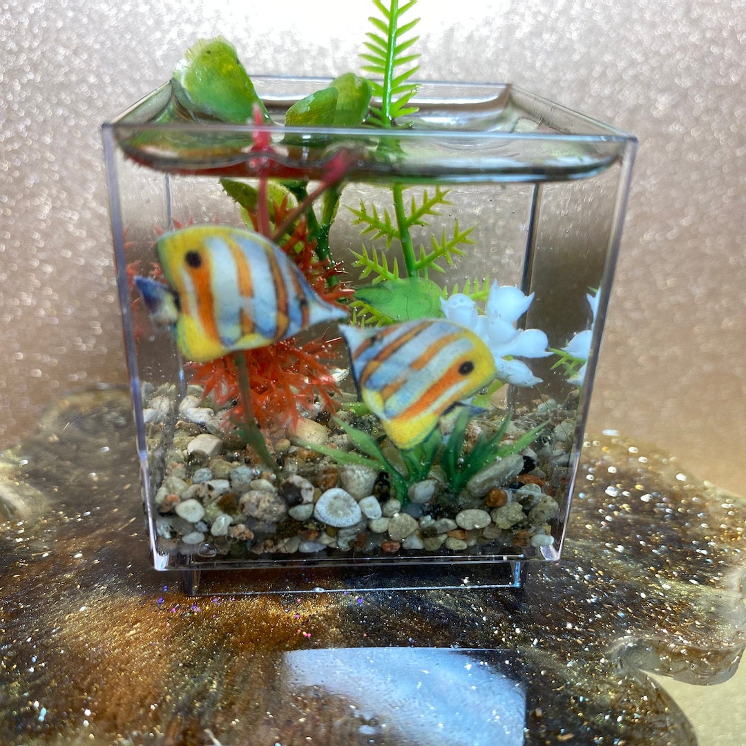 Miniature Aquarium/doll House Aquarium/dollhouse Fish Bowl/mini Fish
