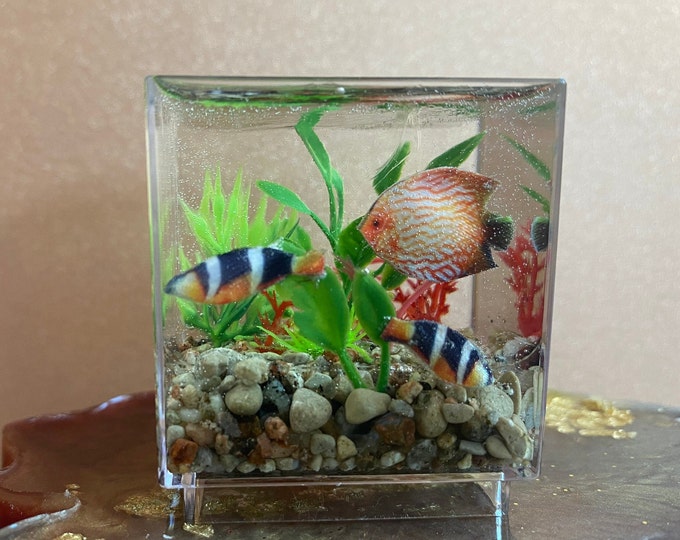 Picture of Miniature Goldfish Aquarium With Red Mushroom House, 1:12 Scale - Etsy