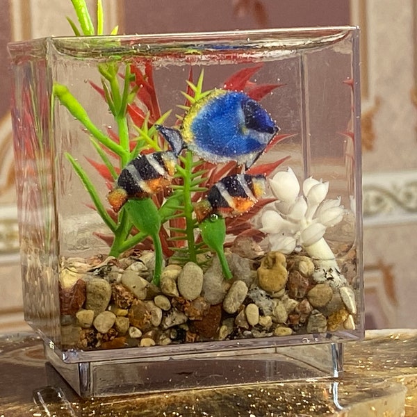Diorama de pecera listo como regalo. Cuenco en miniatura. Acuario de peces en miniatura.