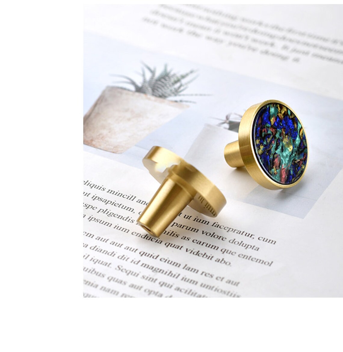 Brass Shell Knob Pull Handle Drawer Furniture Hardware Etsy