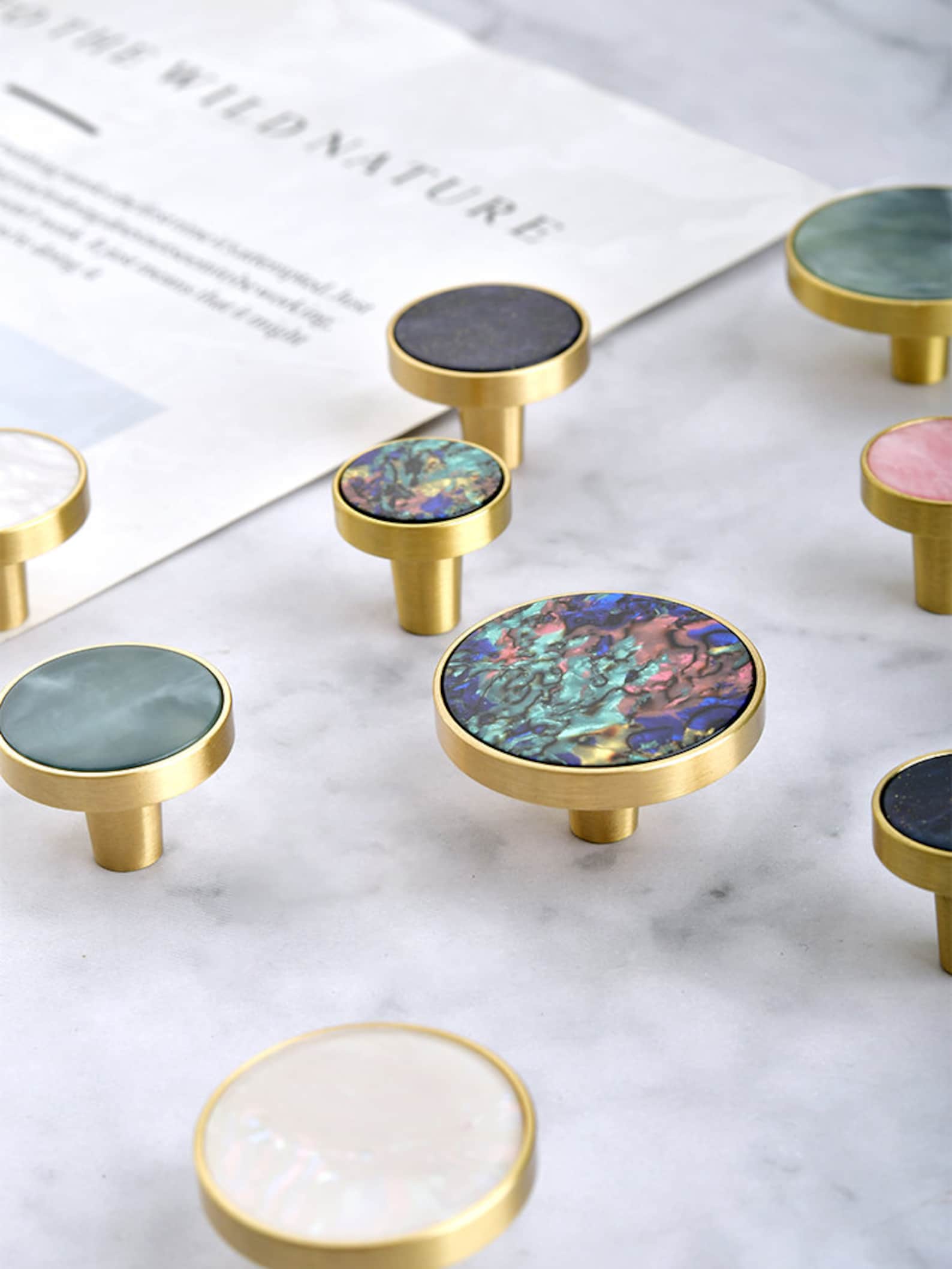 Brass Shell Knob Pull Handle Drawer Furniture Hardware Etsy