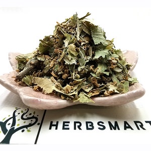 Linden Leaves & Flower | Tilia europaea | Botanical | Natural | Herbal | Dried Herbs | Tea | Cut | Wildcrafted