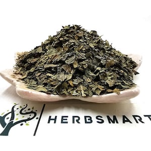 Mulberry Leaves – Morus | Dried Cut Leaves for Tea, Blends, and Botanical Use