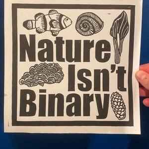 May include: A black and white print featuring the text "Nature Isn't Binary" alongside illustrations of a clownfish, a spiral shell, a leaf, coral, and a pinecone. The print is on white paper.