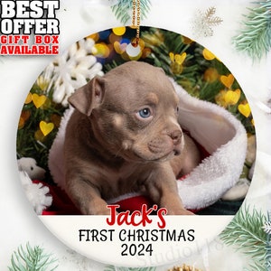 Dog Photo Ornament, Custom Pet Photo Ornament, Personalized Dog First Christmas, 2024 Christmas Ornament, Cat Photo First Christmas, _068