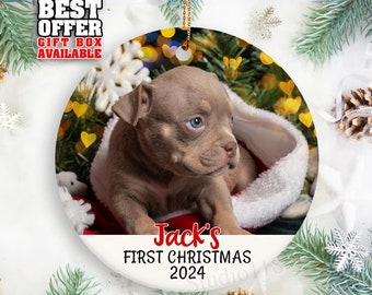 Dog Photo Ornament, Custom Pet Photo Ornament, Personalized Dog First Christmas, 2024 Christmas Ornament, Cat Photo First Christmas, _068