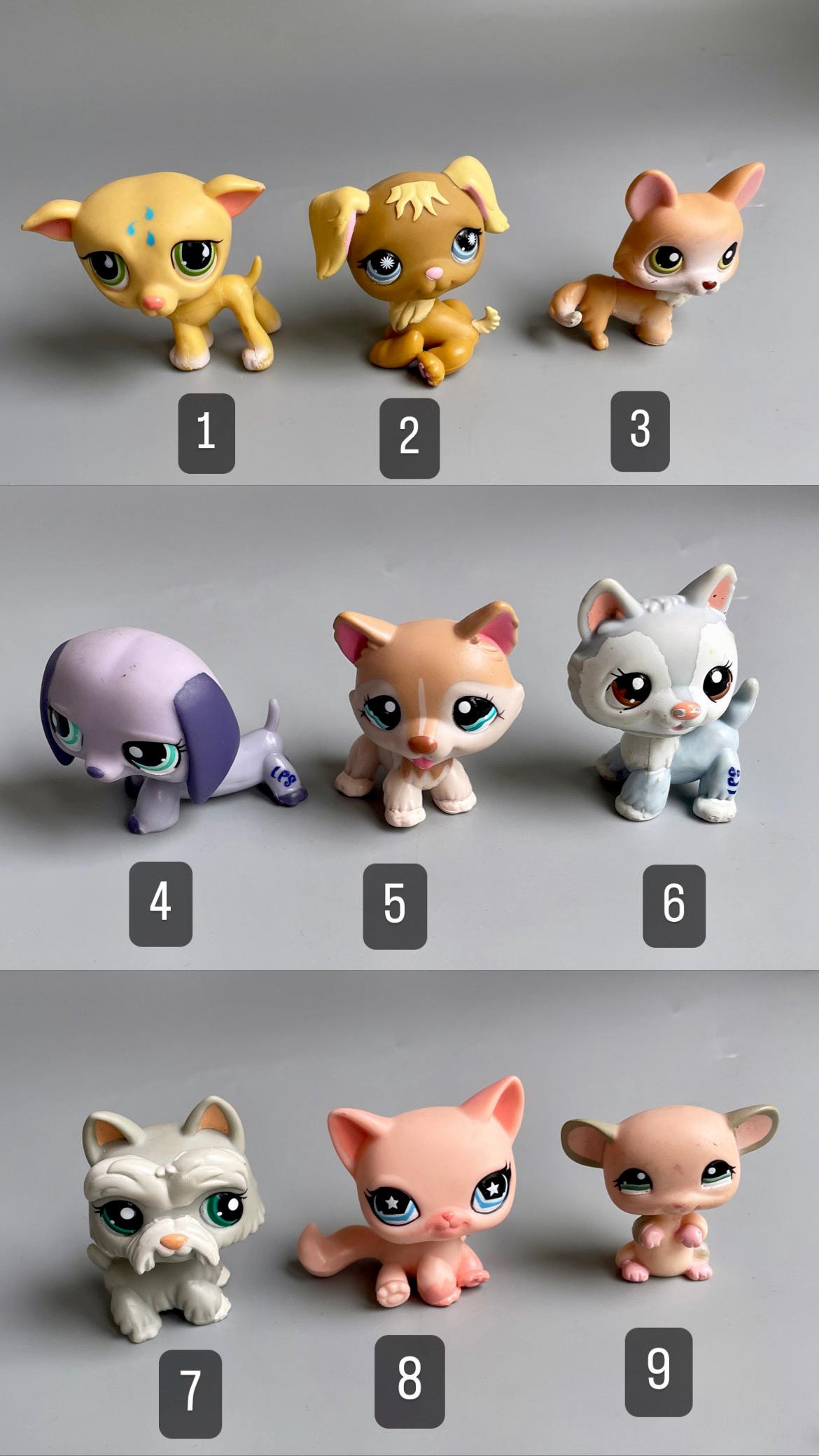 Littlest Pet Shop – Chat écossais 2‑73 #geektradelpschat – Occasion – Hasbro