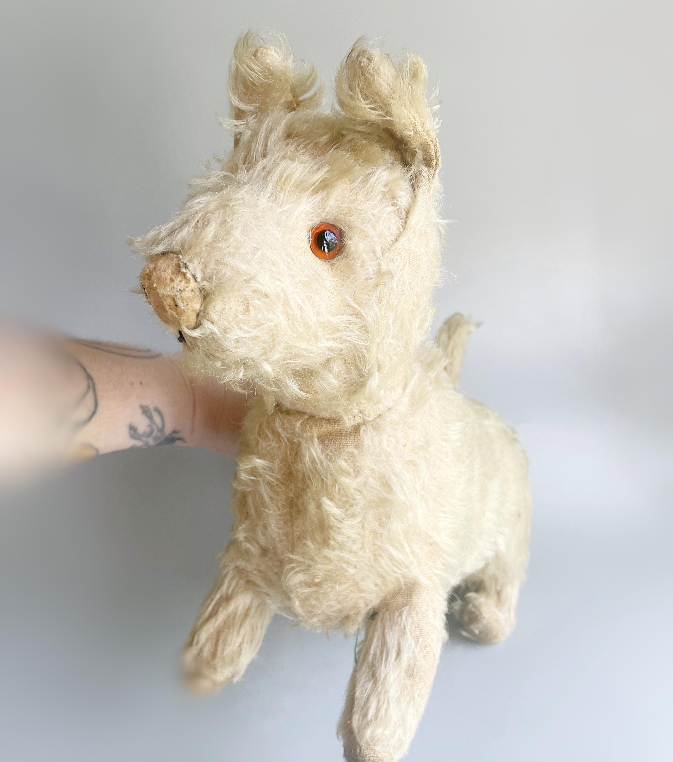 Antique Teddy Dog, Large Mohair Glass Eyed Terrier Type Dog, Worn