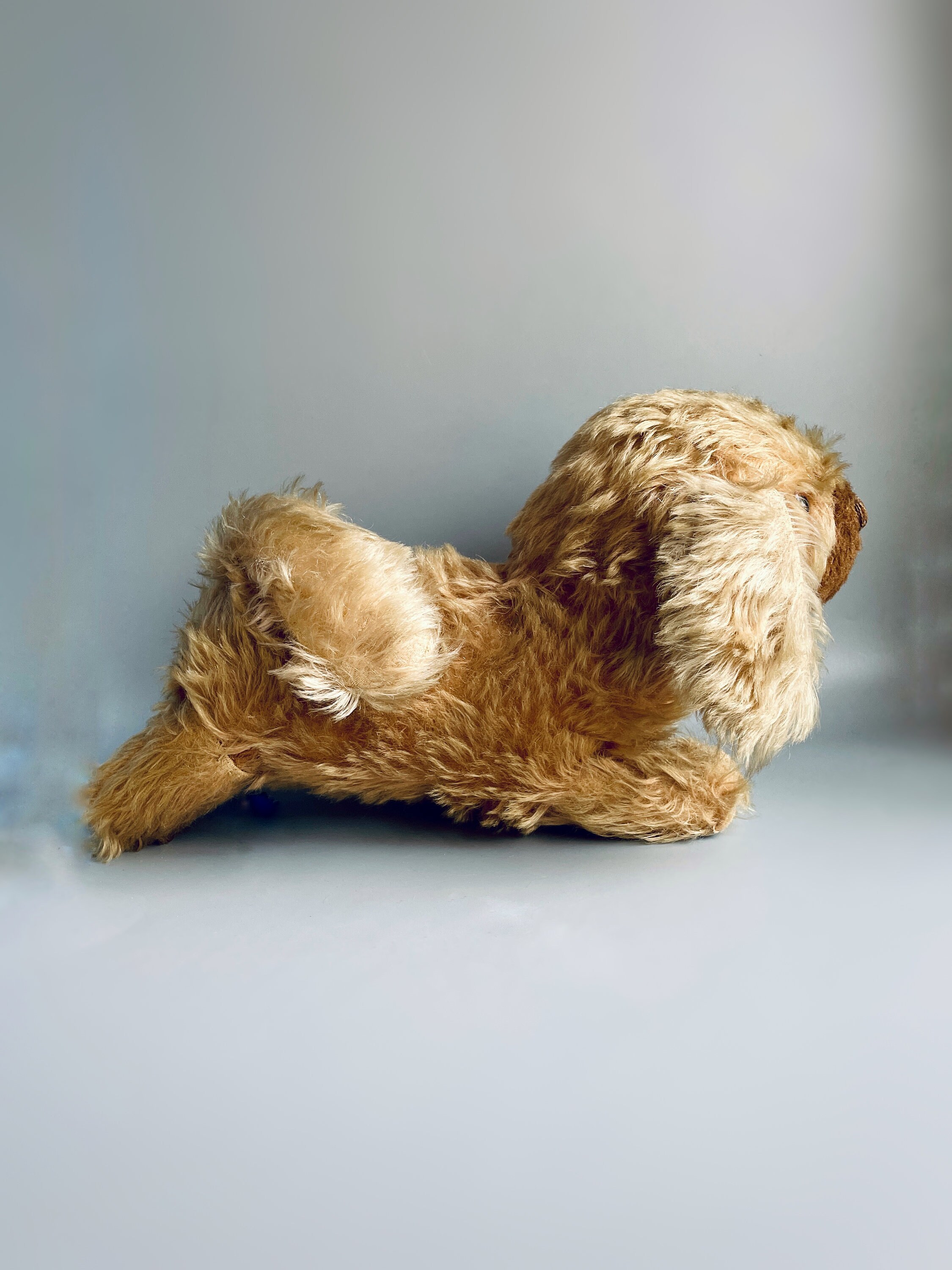 Le Doudou chien blanc, couché Houra 25 cm Les Petites Maries