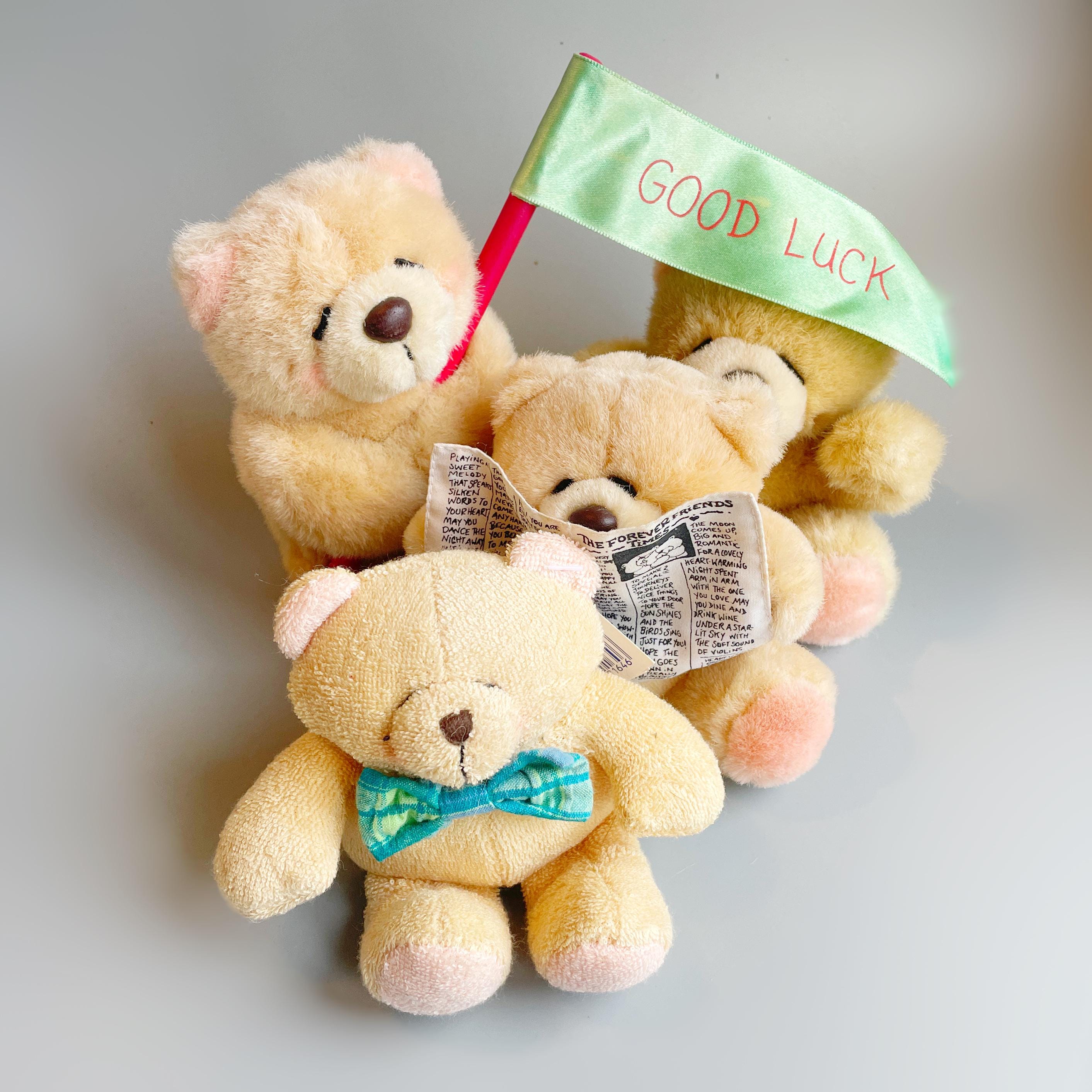 Forever Friends 90's Teddies |CHOOSE YOUR BEAR| Small Forever