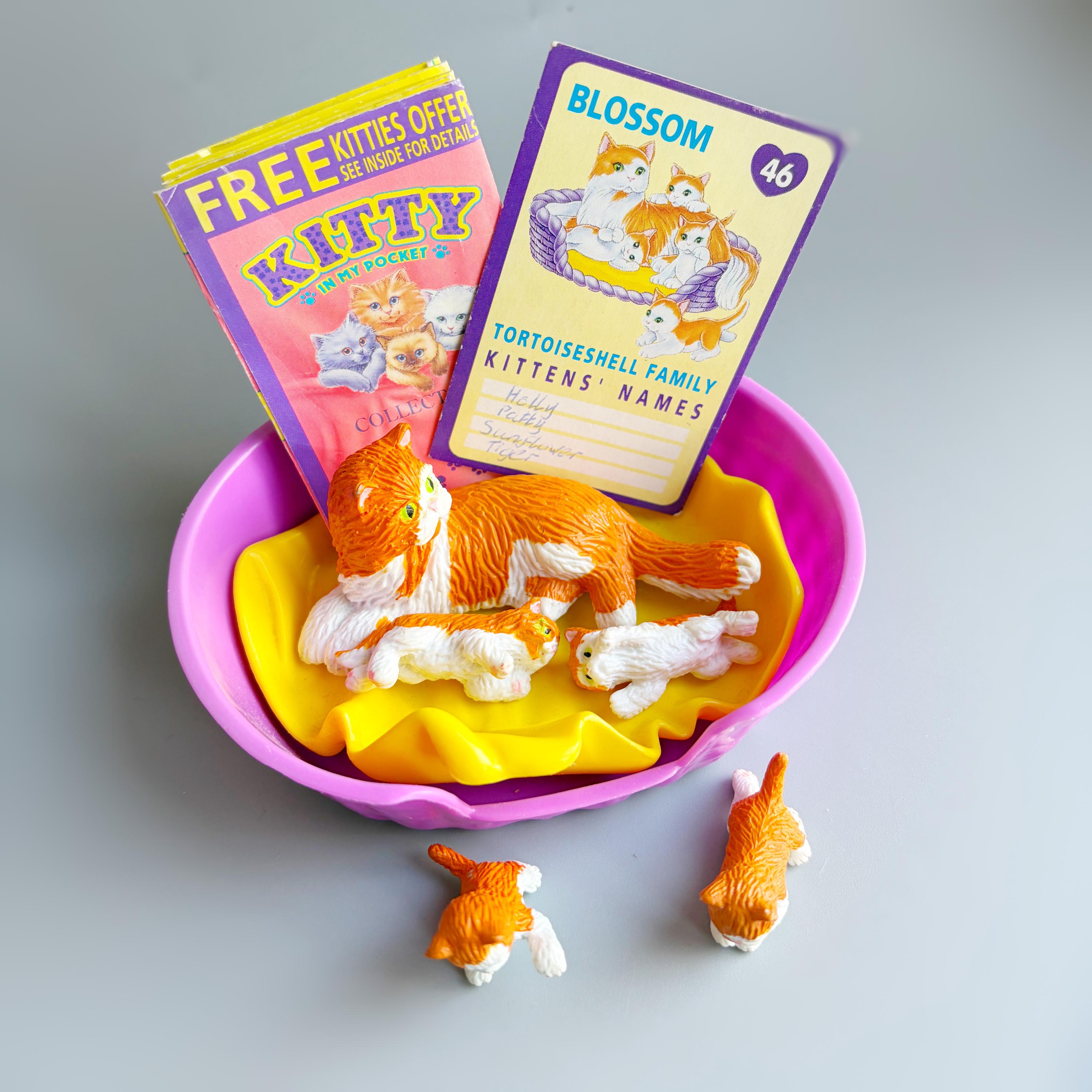 Kitty in My Pocket Family 46 Blossom & Kittens, 90's MEG Kittie in