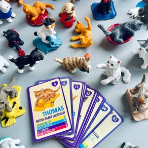 Jaren 90 Kitty In My Pocket-figuren - KIES JE EIGEN, Vintage Meg Kitties In My Pocket, Cat Figures, Cat Breed Figures 90's Collectibles