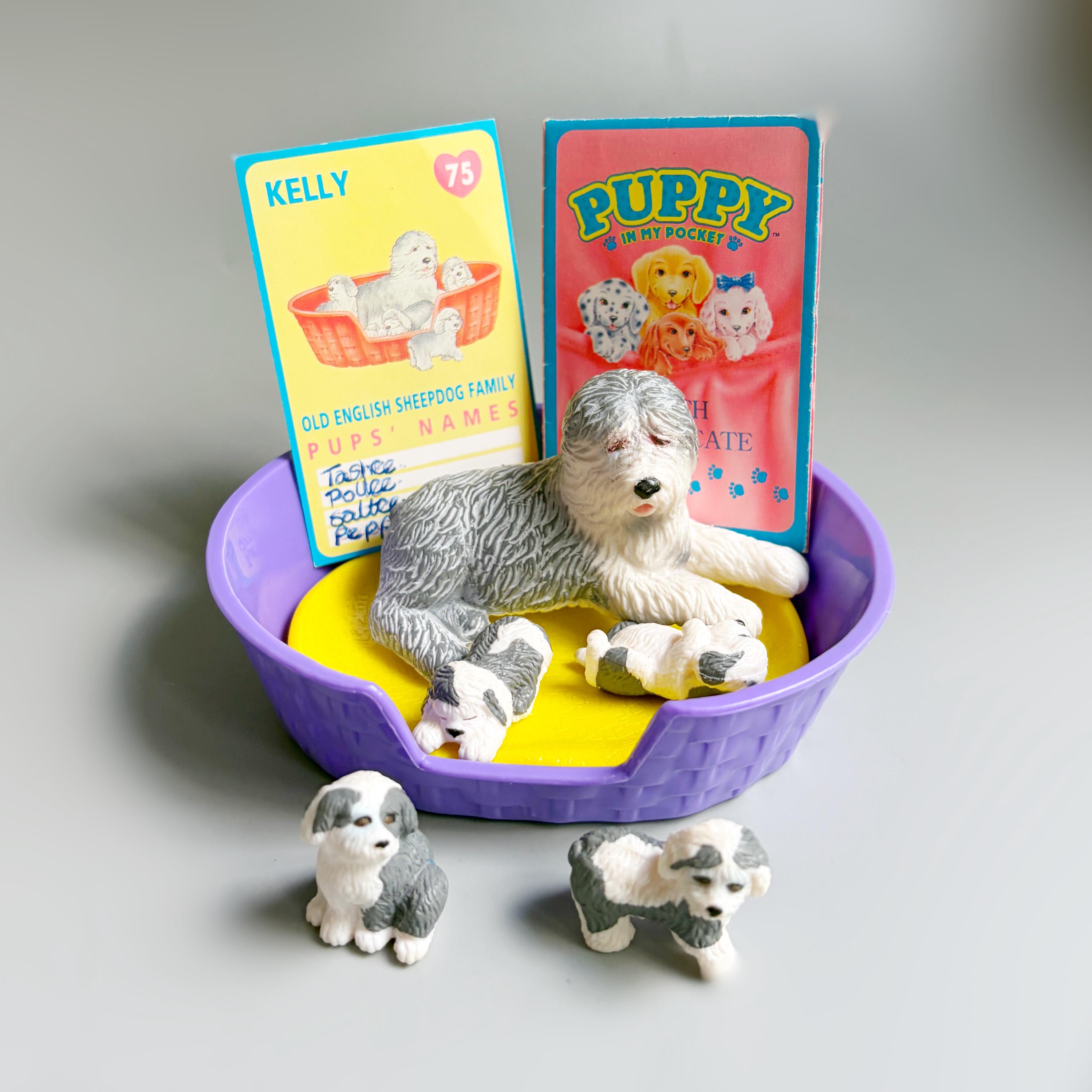 廃盤　希少　新品　 Puffles Puppy Medium Puppy in My Pocket Sheepdog Family, Puppy in My Pocket MEG 90's