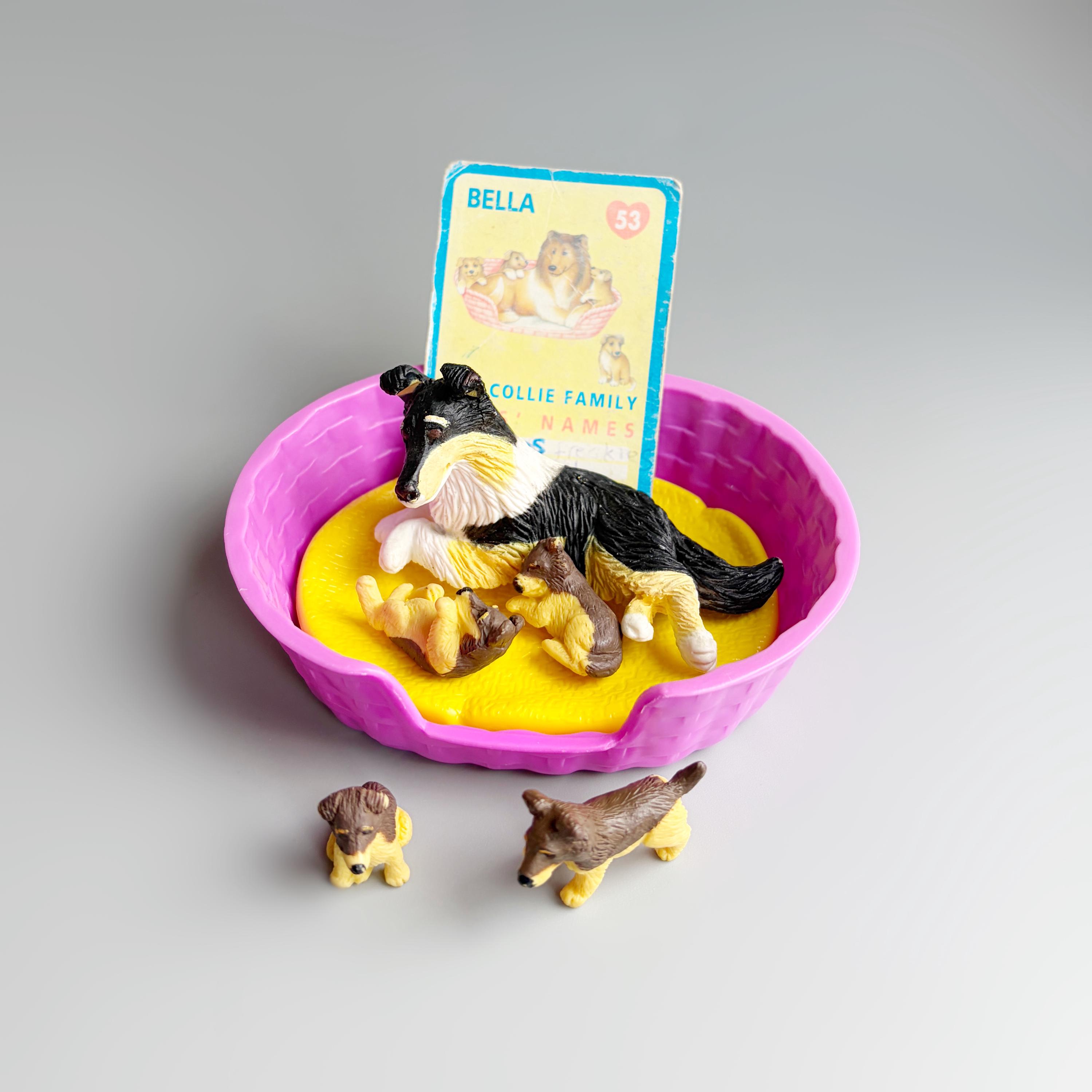 Puppy in My Pocket Collie Family Bella & Puppies COMPLETE Family Puppy in My Pocket Collie Family Bella & Puppies COMPLETE Family