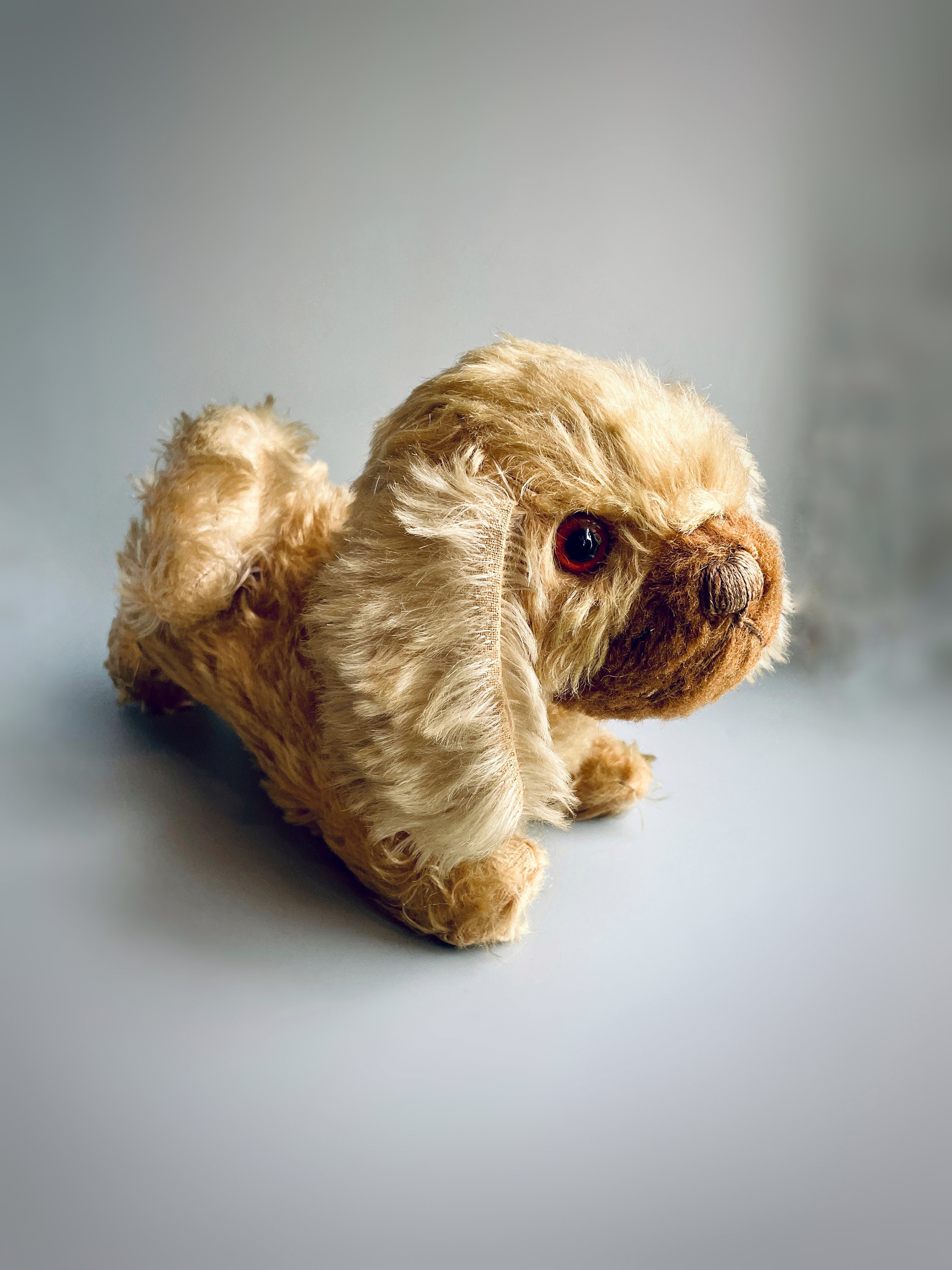 Ancien Ours En Peluche – Style Chien Bicolore, Mohair, Années 30