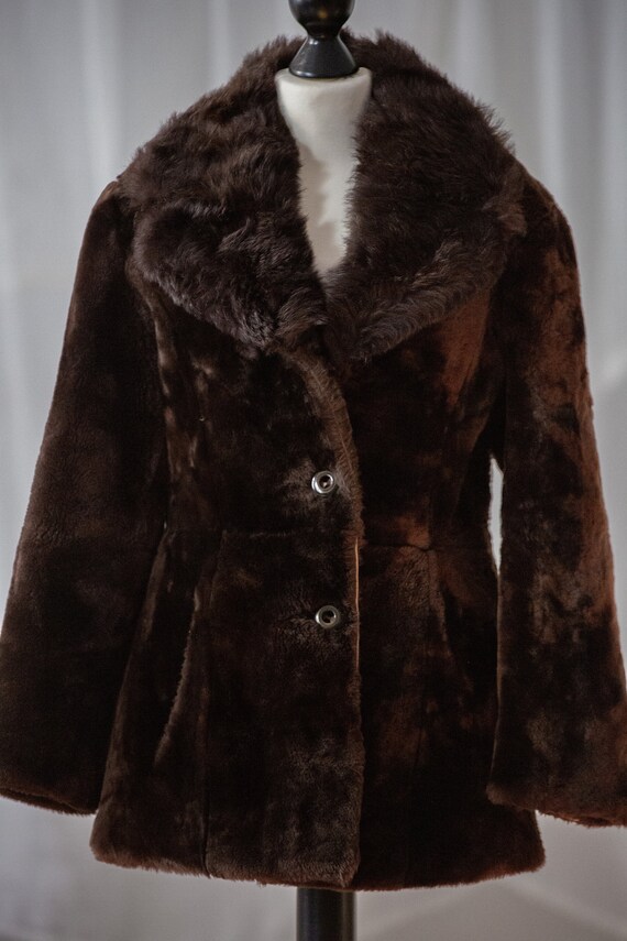 Vintage Real Fur Teddy Coat in Chocolate Brown fo… - image 3