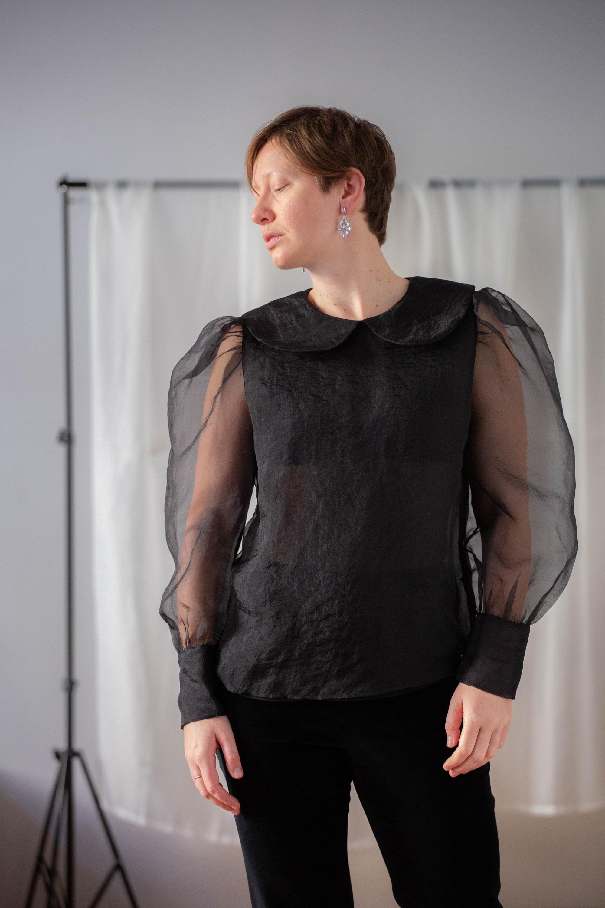 Sheer Long Puffy Sleeve Shirt