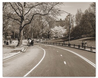 Central Park Manhattan NYC Canvas, Sophisticated Art Retro