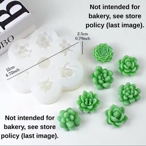 Set of 7 plants succulents cactus flowers silicone scent soap candle molds, aromatherapy plaster resin decoration diy crafts silicone molds image 7