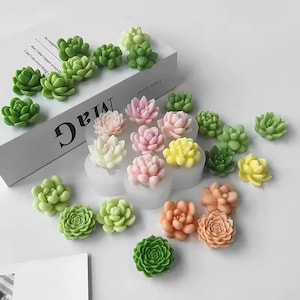 Set of 7 plants succulents cactus flowers silicone scent soap candle molds, aromatherapy plaster resin decoration diy crafts silicone molds image 5