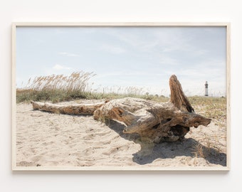 Photographie de plage de paysage, Impression de plage de Boho, Art de plage imprimable, Décoration murale côtière, Impression de bois flotté de plage, Impression d’herbe de pampa