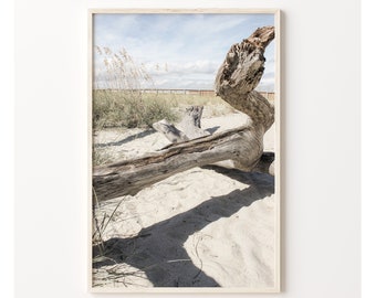 Beach Photography, Boho Beach Print, Printable beach art, Coastal Wall Decor, Driftwood Print, Driftwood Photography, Boho Print