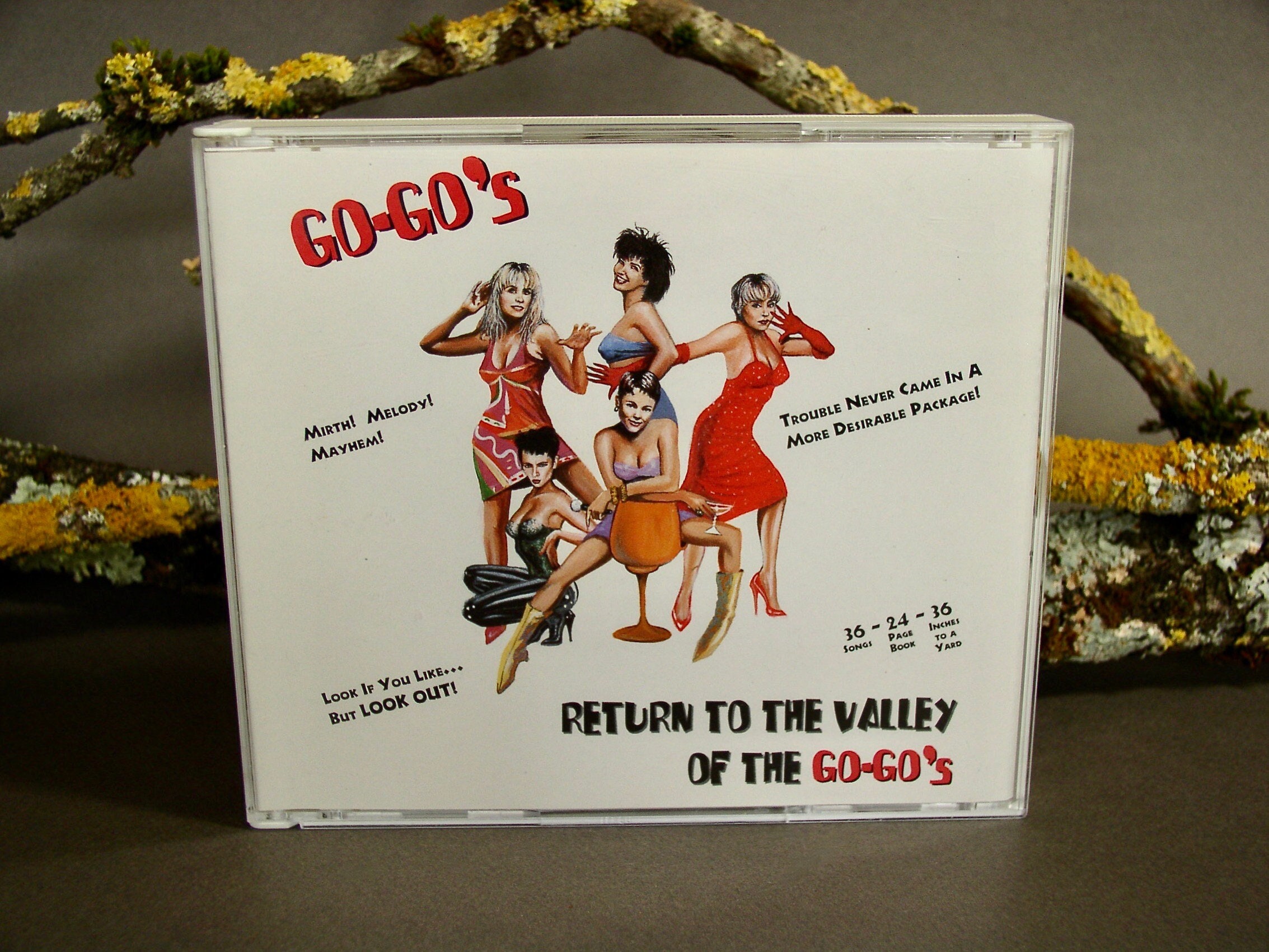 The Go-go's/