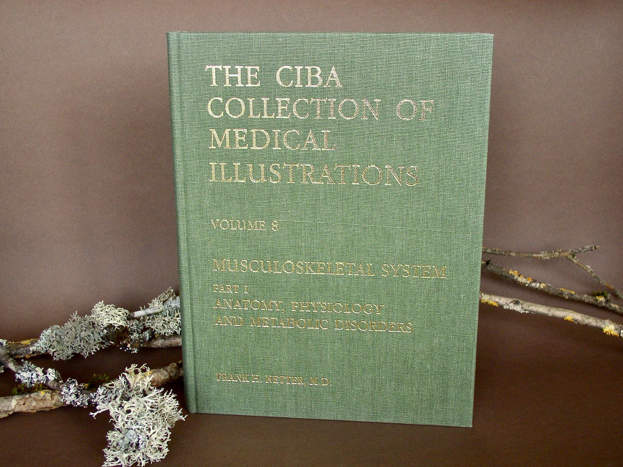 洋書・希少 CIBA医学イラスト集第8巻Ⅰ&Ⅱ フランクH.ネッター／英語版 il_fullxfull.6887034074_lczn.jpg