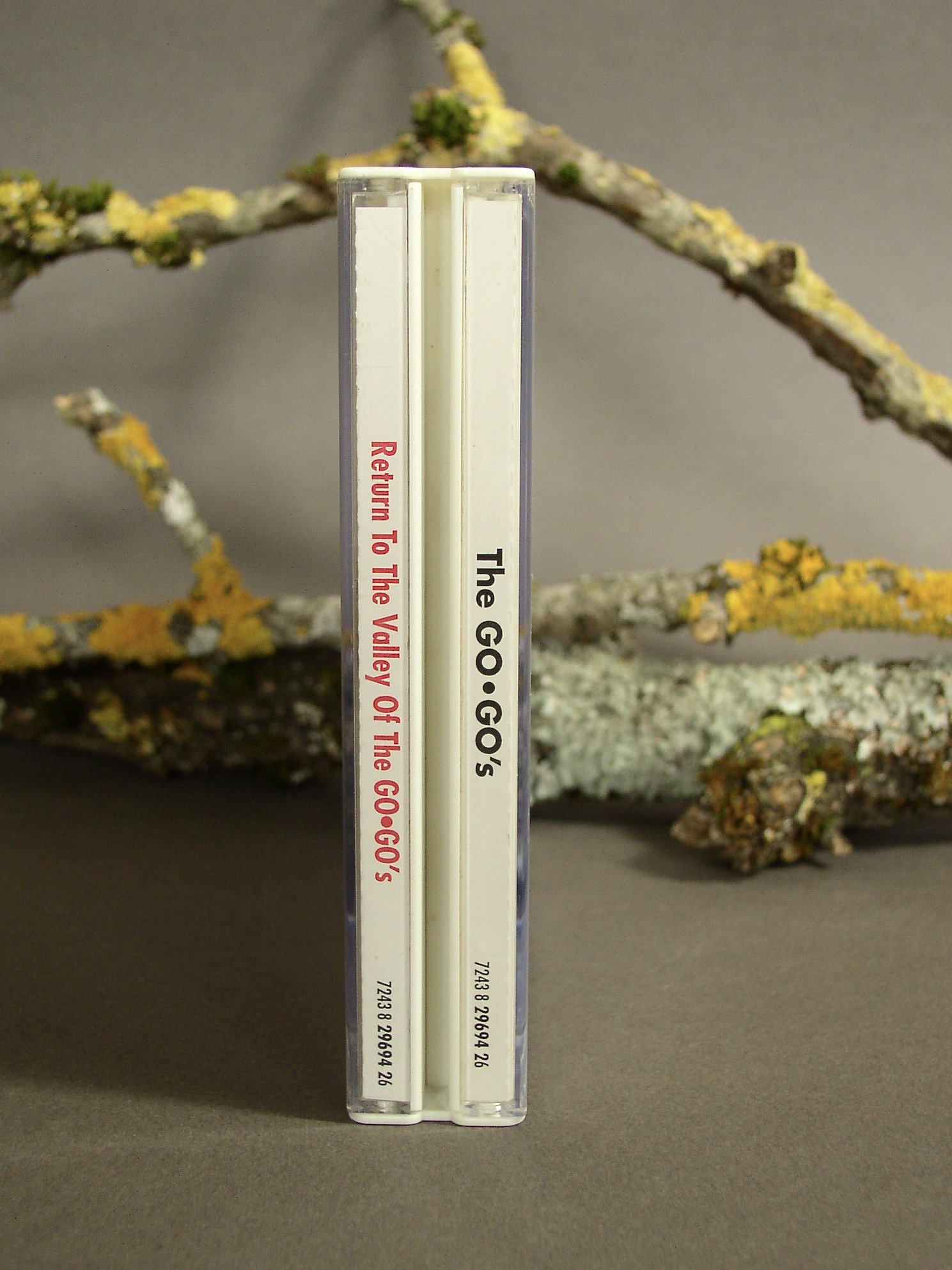 The Go-go's/