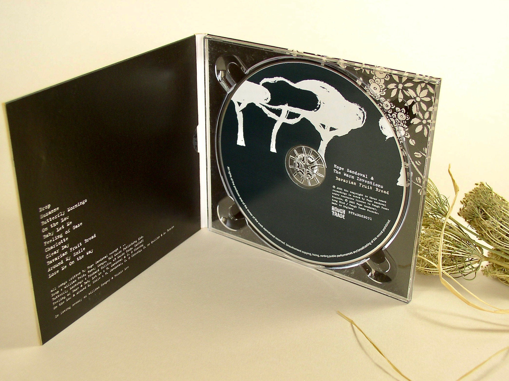 Hope Sandoval & the Warm Inventions/