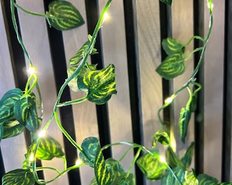 Beautiful Battery Operated Ivy Garland LED lights For Weddings & Special Occasions, bedroom home decor, 2m or 5m lengths