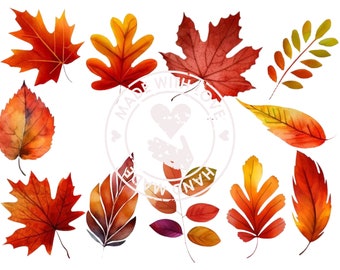 Clipart aquarel herfstbladeren: png-collectie herfst (digitale download)