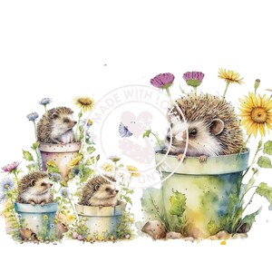 Hedgehog clipart, hedgehog png, hedgehog clip art, cute hedgehog, animal clipart, woodland clipart, watercolor hedgehog, commercial use