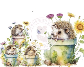 Hedgehog clipart, hedgehog png, hedgehog clip art, cute hedgehog, animal clipart, woodland clipart, watercolor hedgehog, commercial use